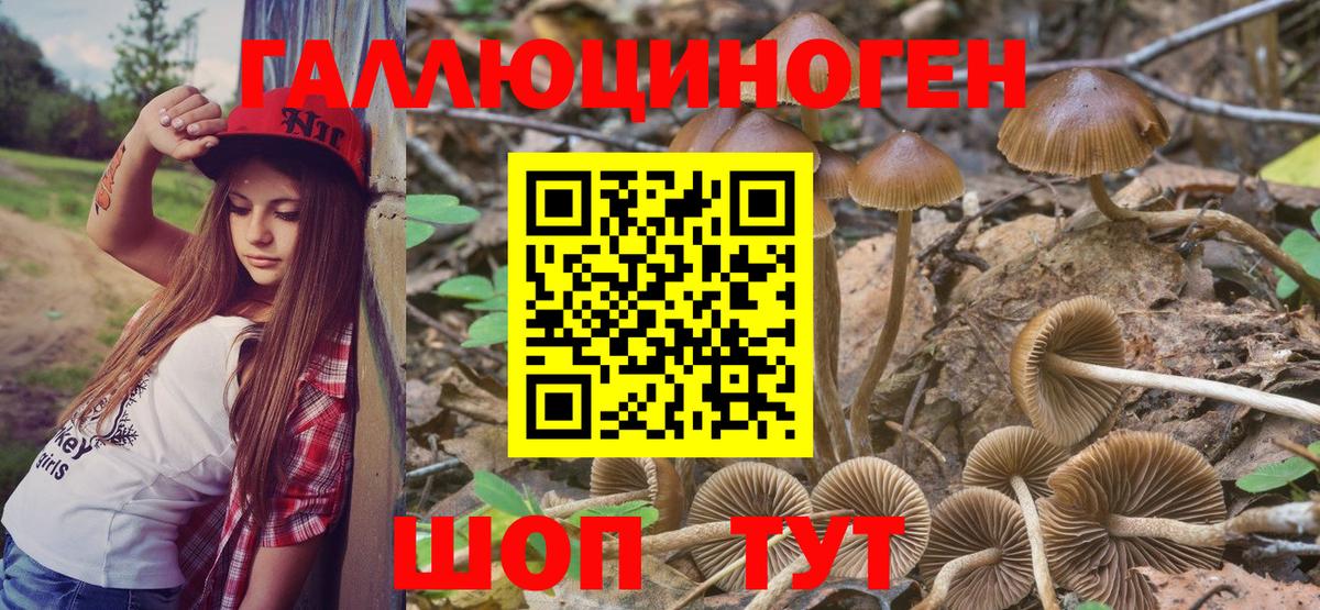 Галлюциногенные грибы Psilocybe  купить наркотик  Химки  Вход с VPN  Псилоцибиновые грибы мицелий 